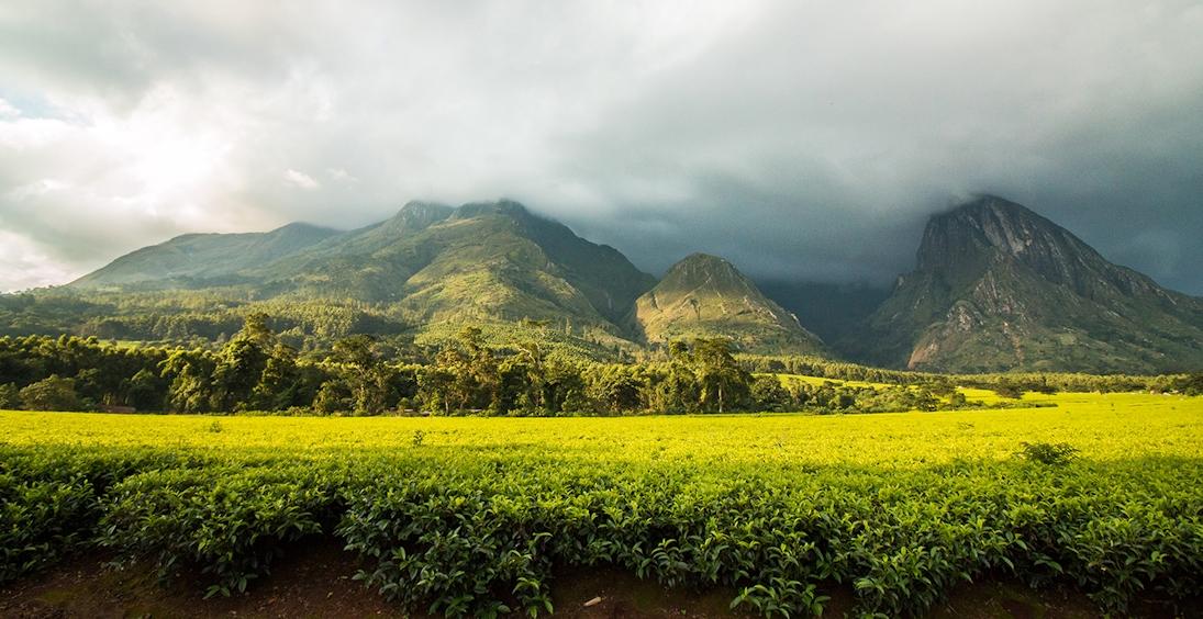 Malawi Malawi