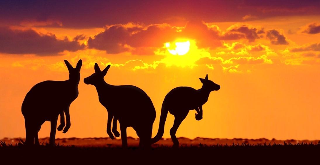 Encantos da Austrália