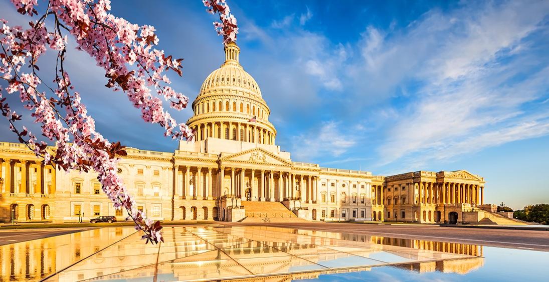 Washington Tradicional