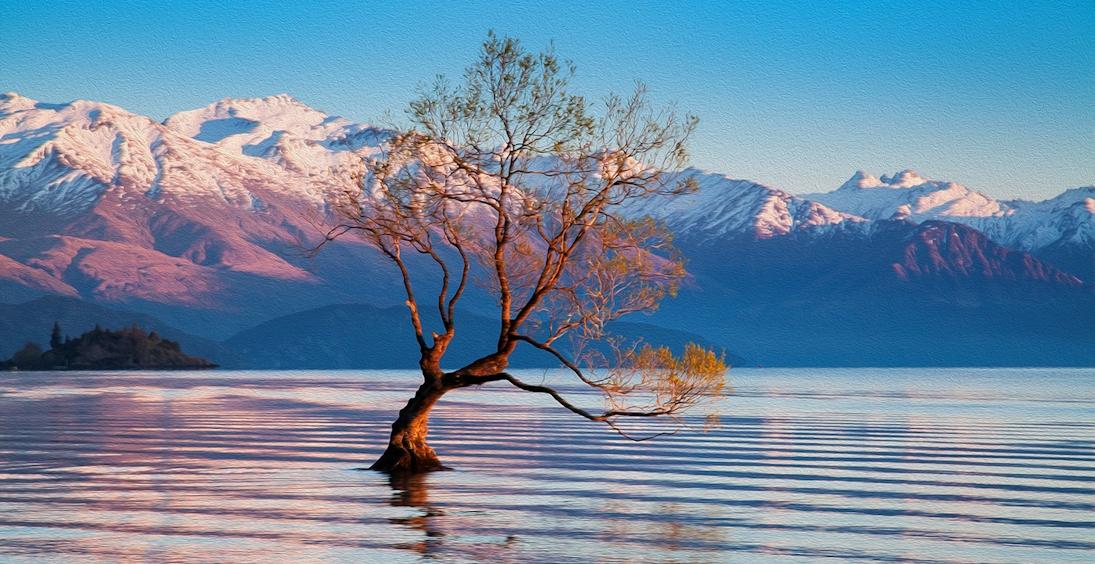 Descobrindo a Nova Zelândia