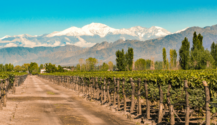 Mendoza, terra de vinhos e sabores