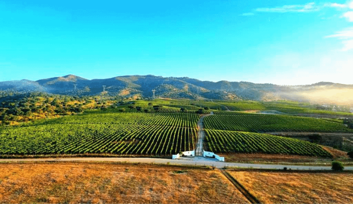 Vinhos do Alentejo - Herdade do Sobroso