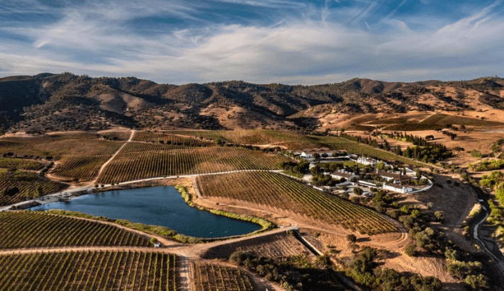 Vinhos do Alentejo - Herdade do Sobroso