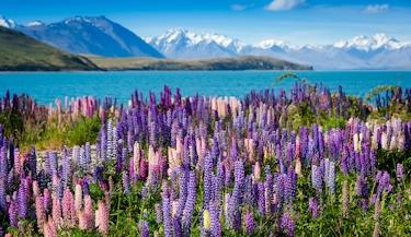 Nova Zelândia de Norte a Sul