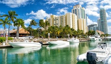 Paradise Coast e Miami 