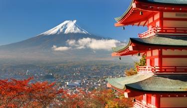 Japão e Coreia do Sul