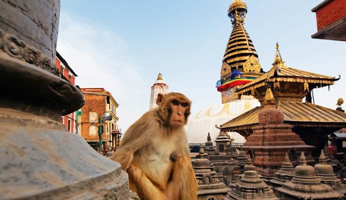 Extensão a Katmandu