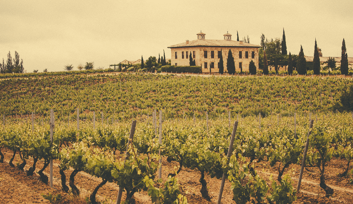 Vinhedos de La Rioja e Madri