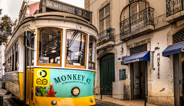 Vinho e gastronomia em Lisboa e Porto