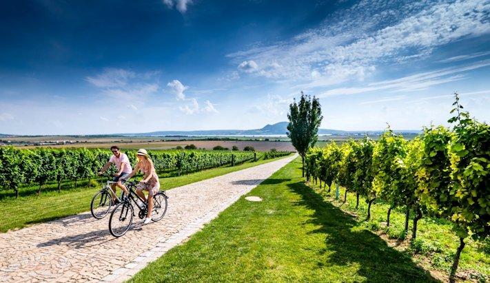 Mendoza Deluxe com Bike na Zuccardi